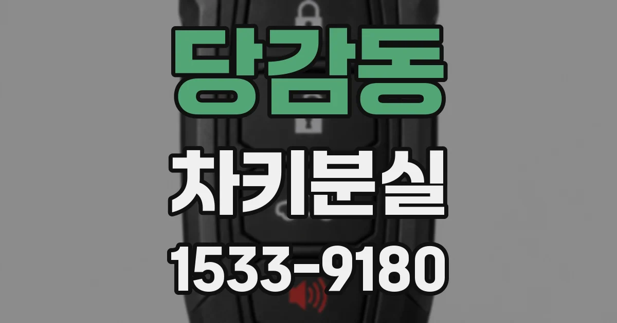 당감동 차키분실