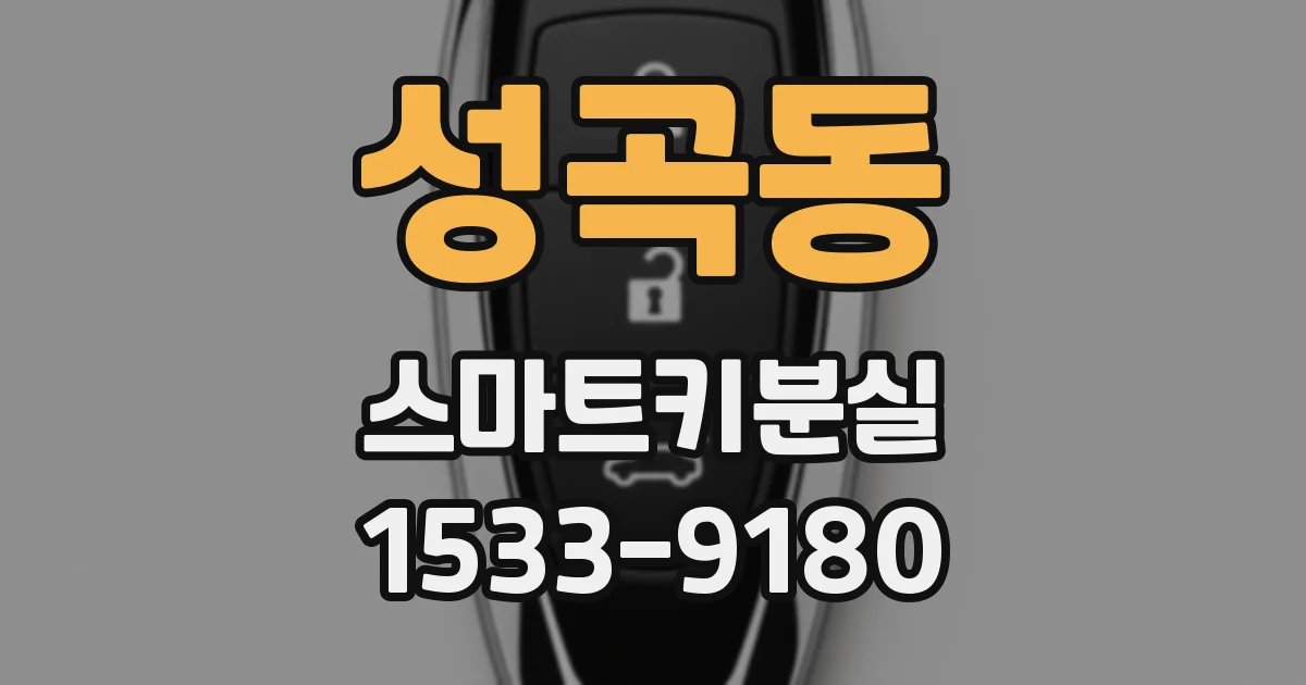 성곡동 스마트키분실