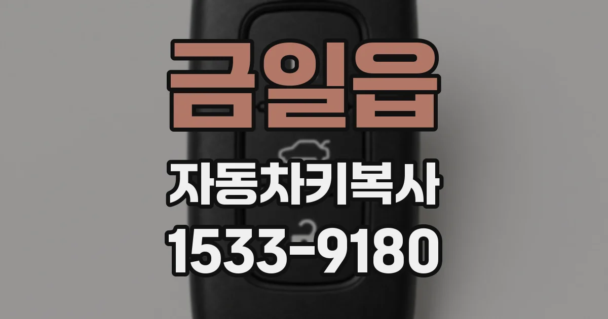 금일읍 자동차키복사