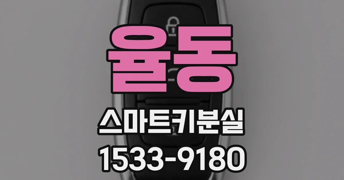 율동 스마트키분실