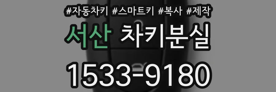 서산 차키분실