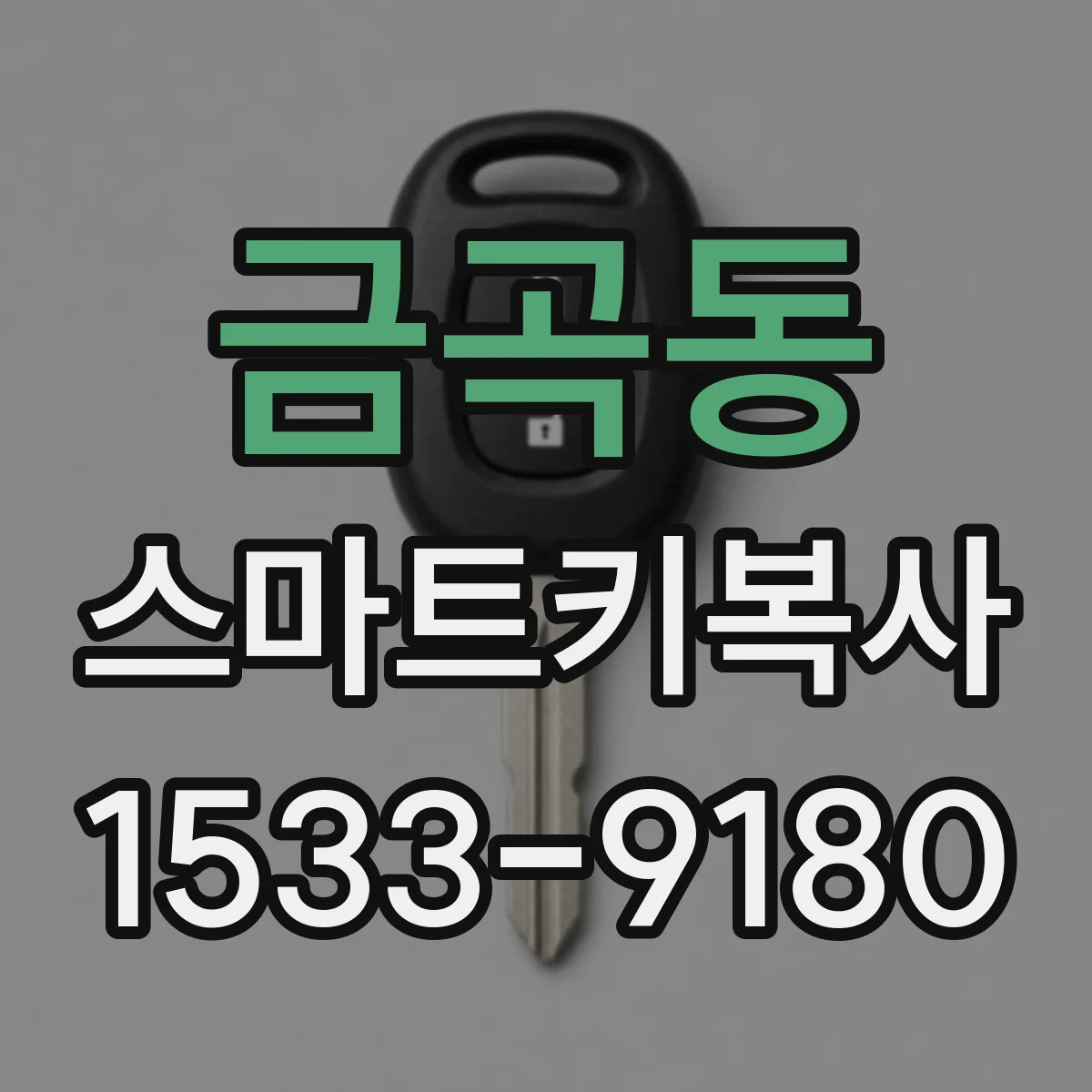 금곡동 스마트키복사