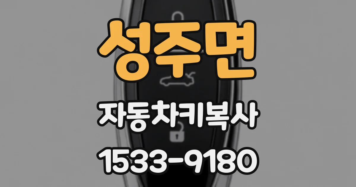 성주면 자동차키복사