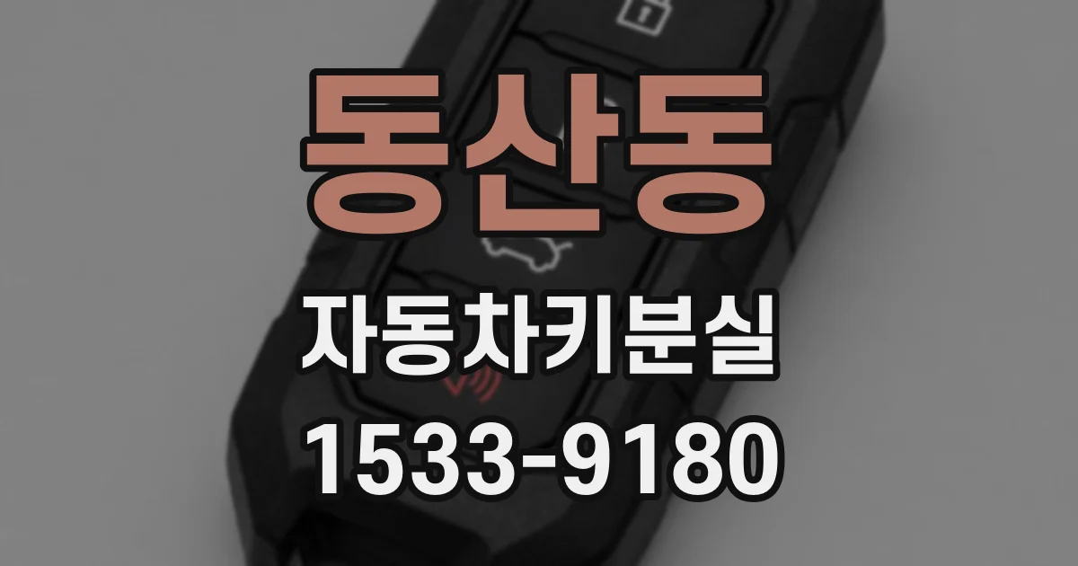 동산동 자동차키분실