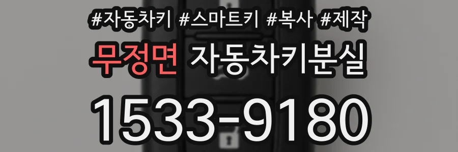 무정면 자동차키분실