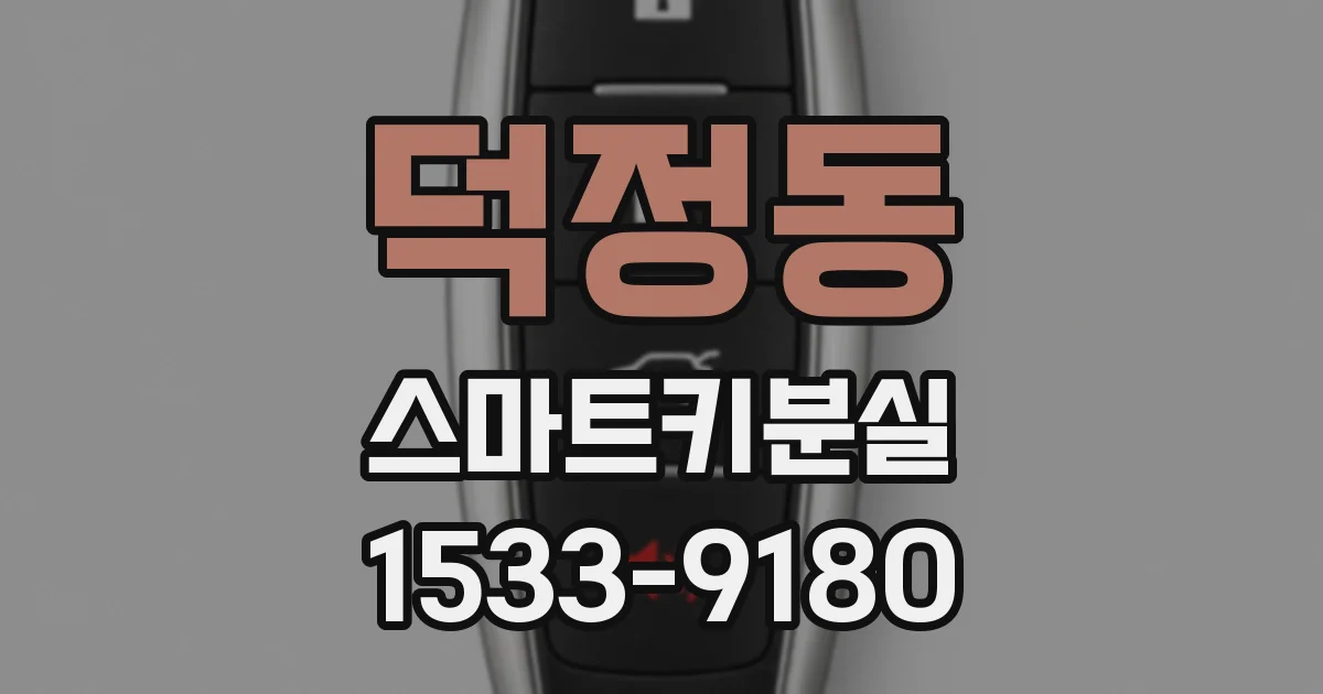 덕정동 스마트키분실