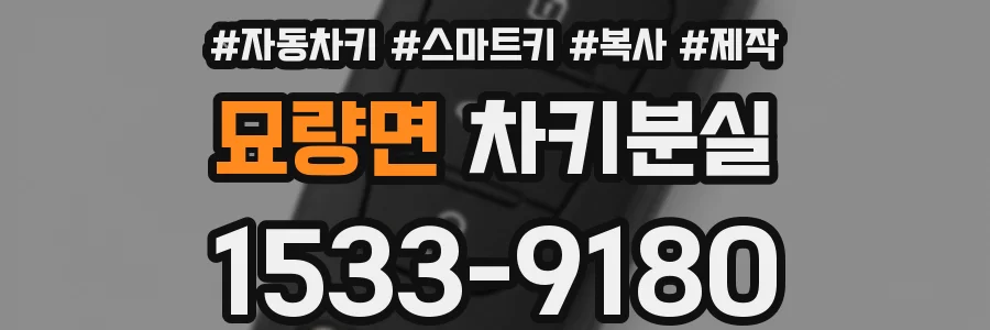 묘량면 차키분실
