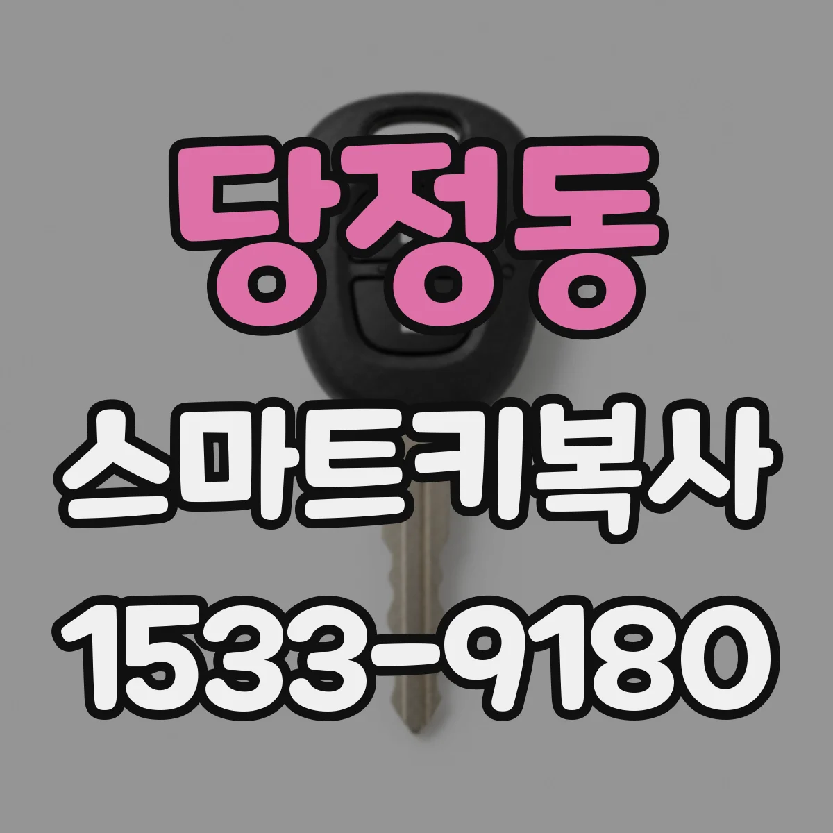 당정동 스마트키복사