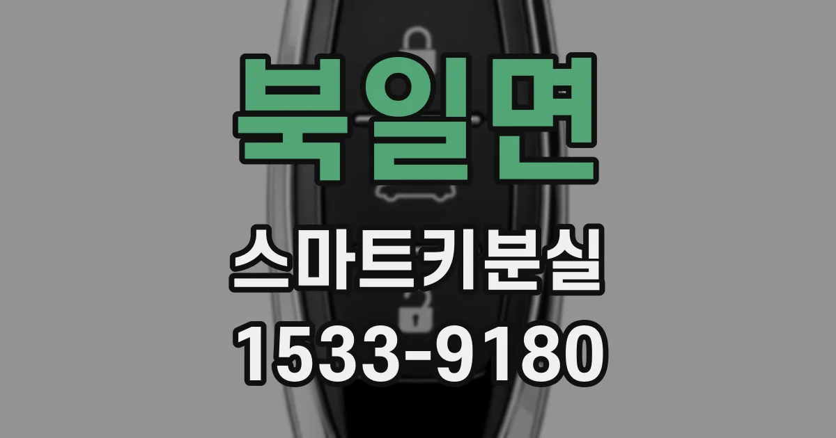 북일면 스마트키분실