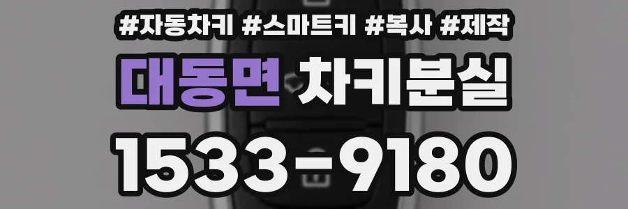 대동면 차키분실