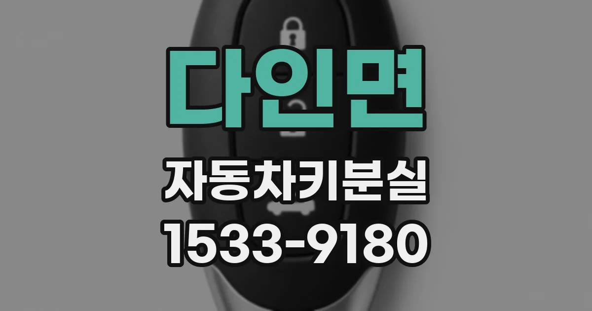 다인면 자동차키분실