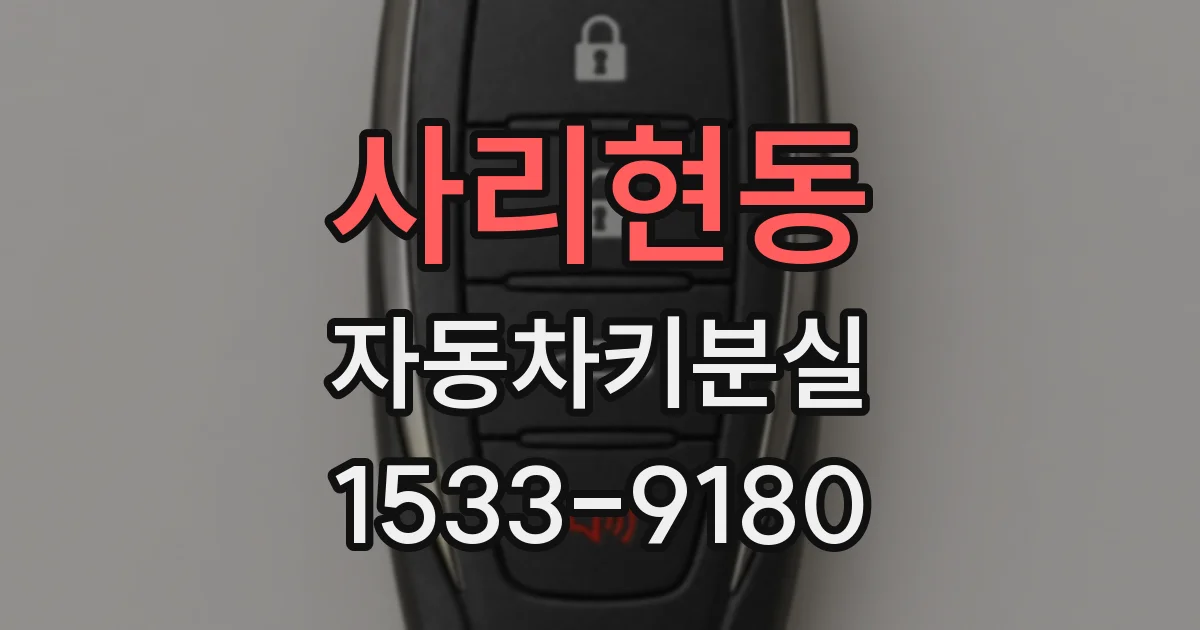사리현동 자동차키분실