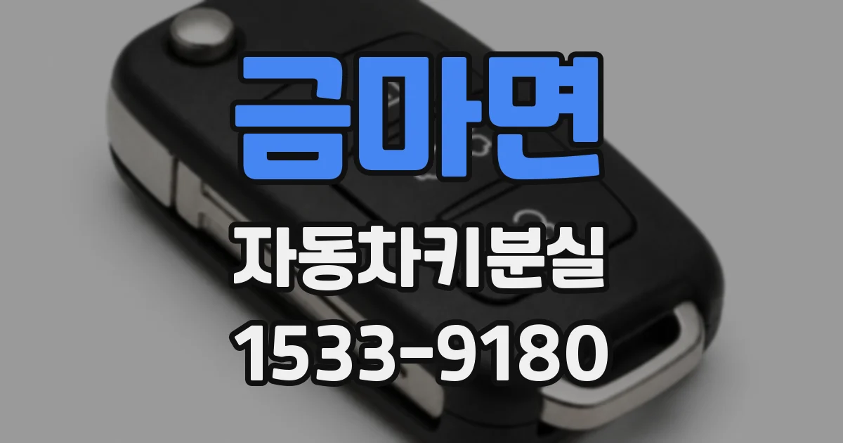 금마면 자동차키분실