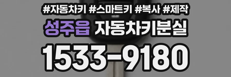성주읍 자동차키분실
