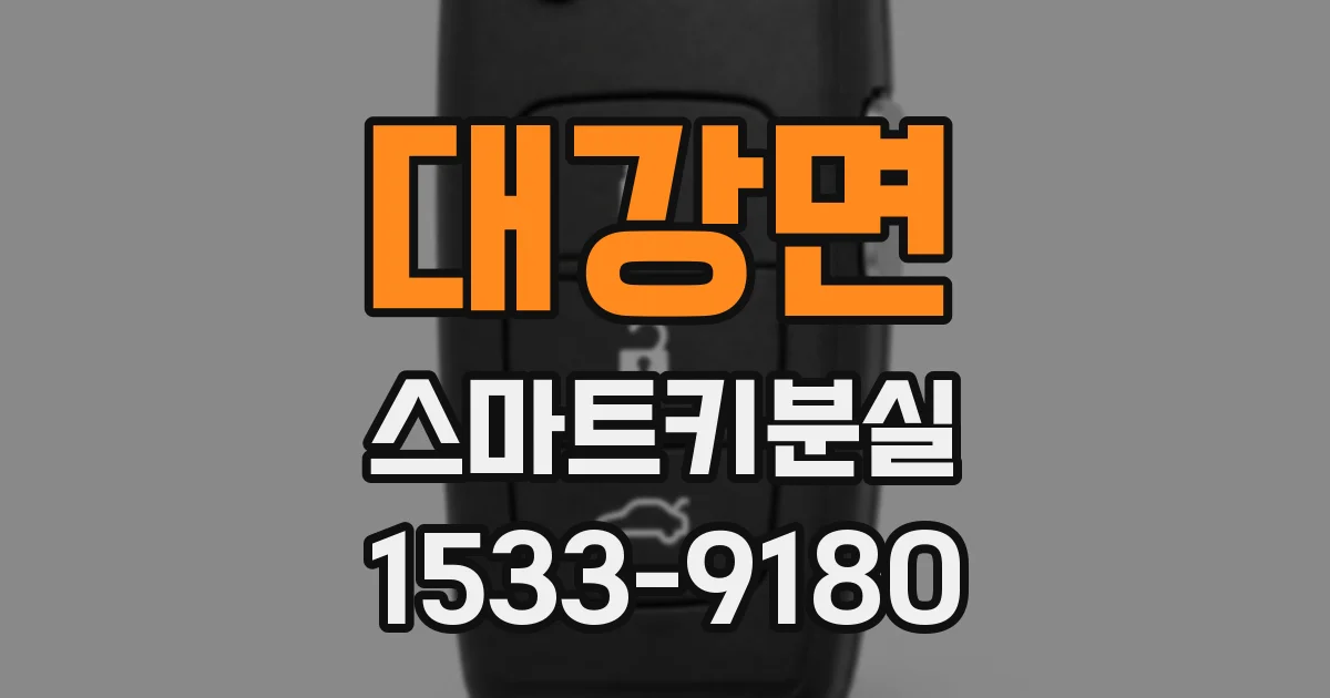 대강면 스마트키분실