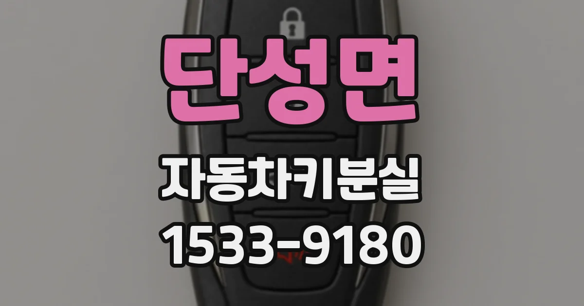 단성면 자동차키분실