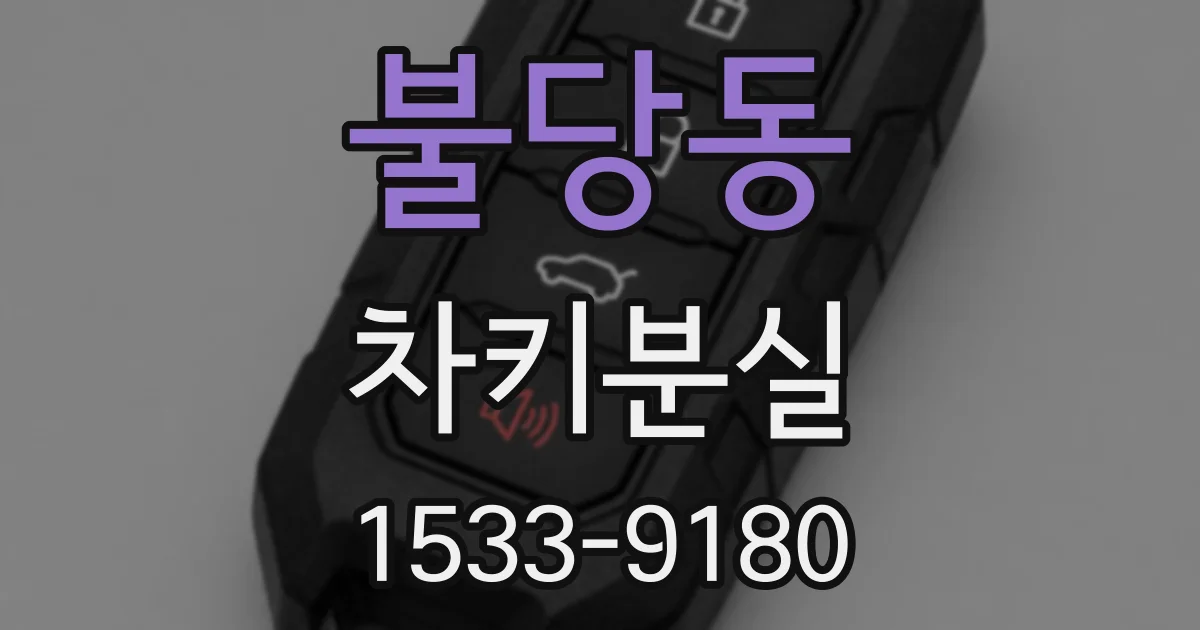 불당동 차키분실