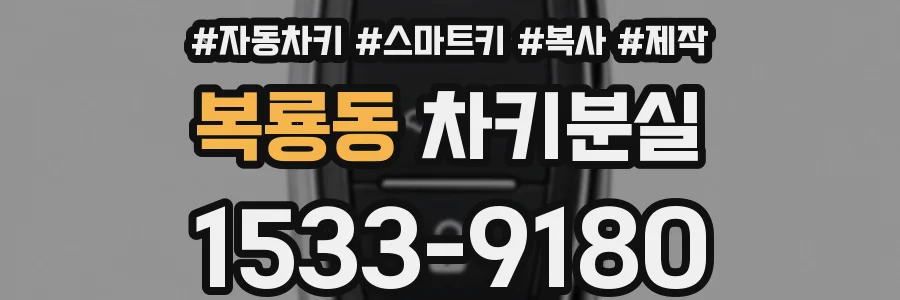 복룡동 차키분실
