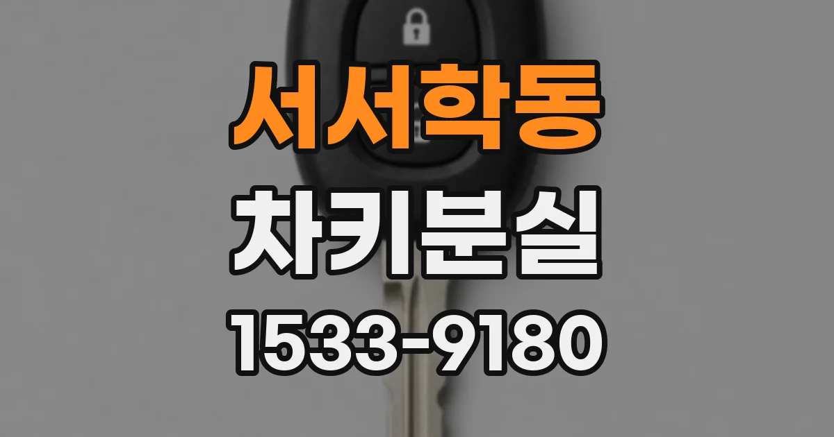 서서학동 차키분실