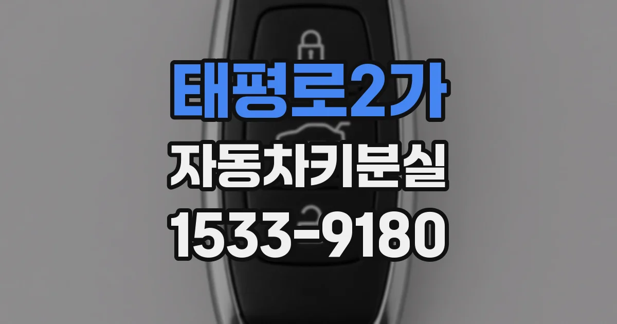 태평로2가 자동차키분실