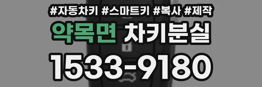 약목면 차키분실