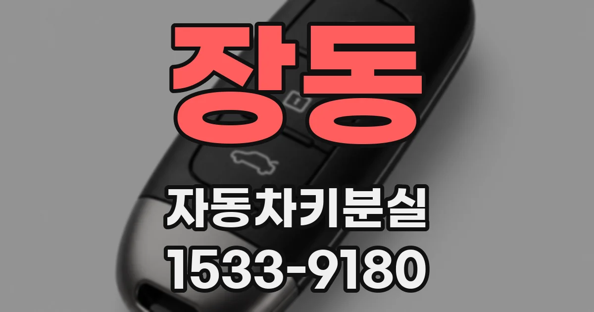 장동 자동차키분실