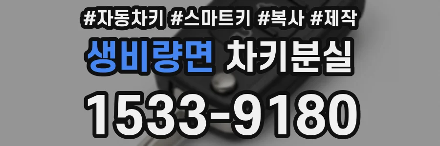 생비량면 차키분실