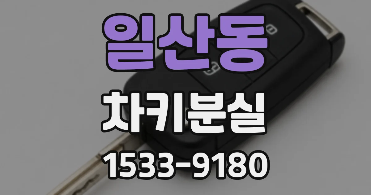 일산동 차키분실