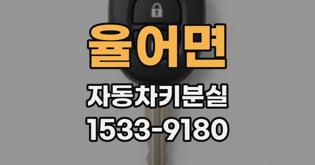 율어면 자동차키분실