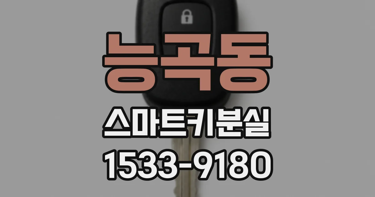 능곡동 스마트키분실