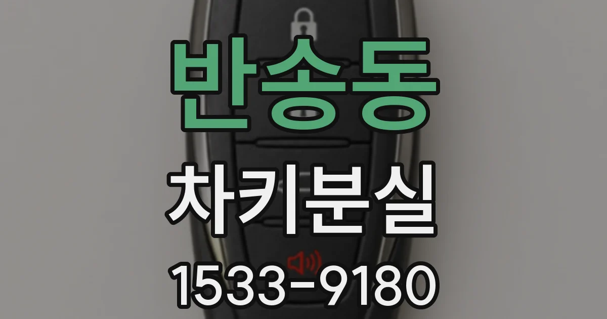 반송동 차키분실
