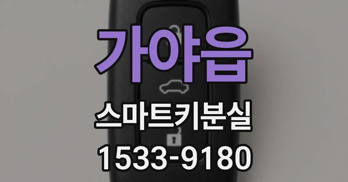 가야읍 스마트키분실