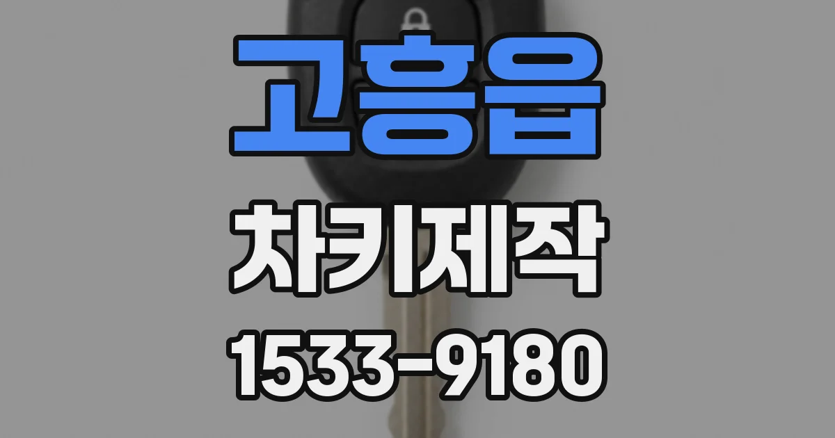 고흥읍 차키제작