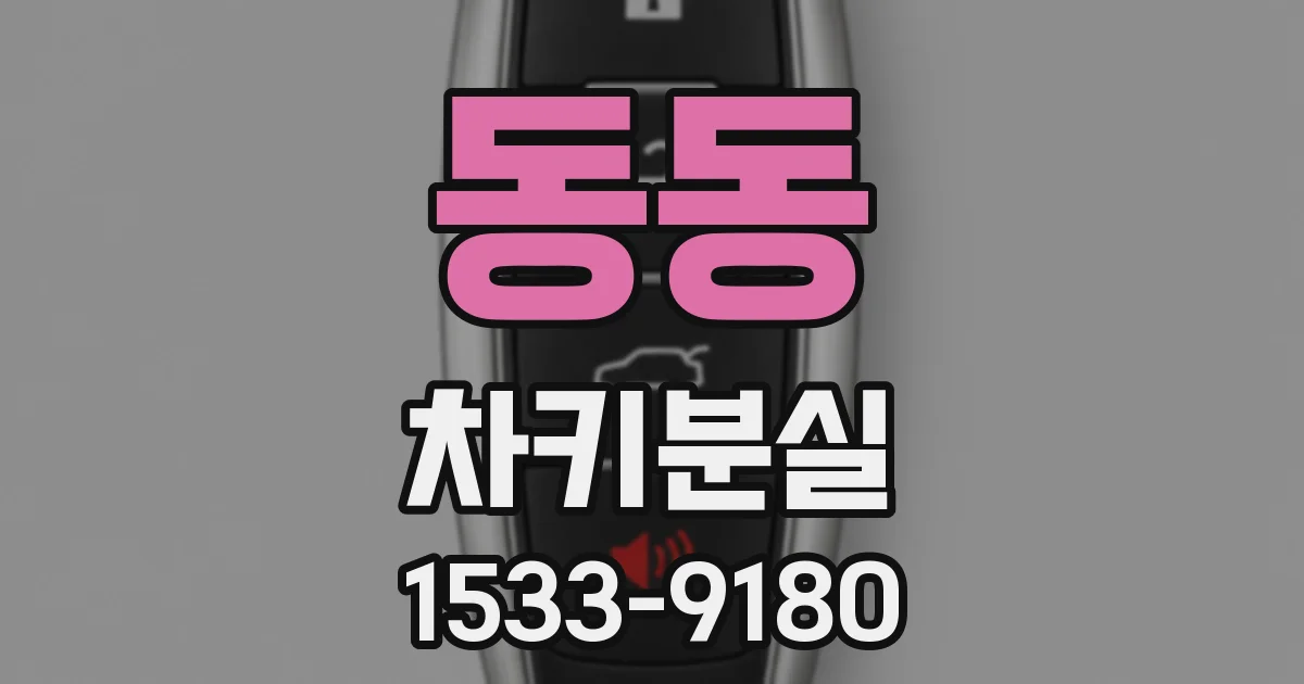 동동 차키분실