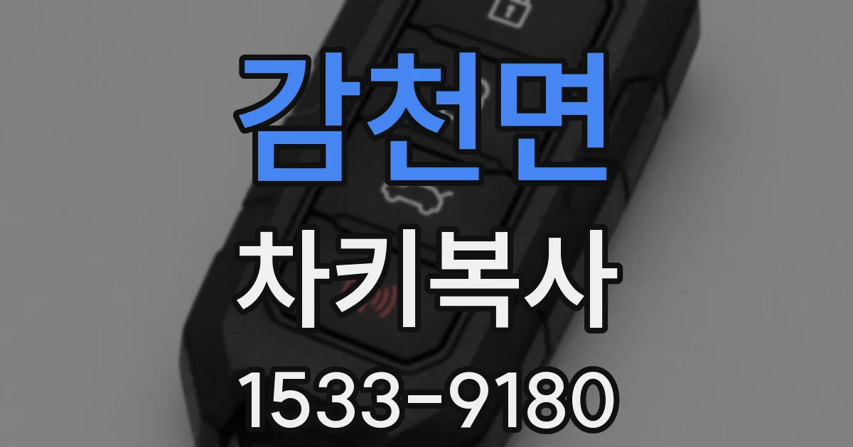 감천면 차키복사