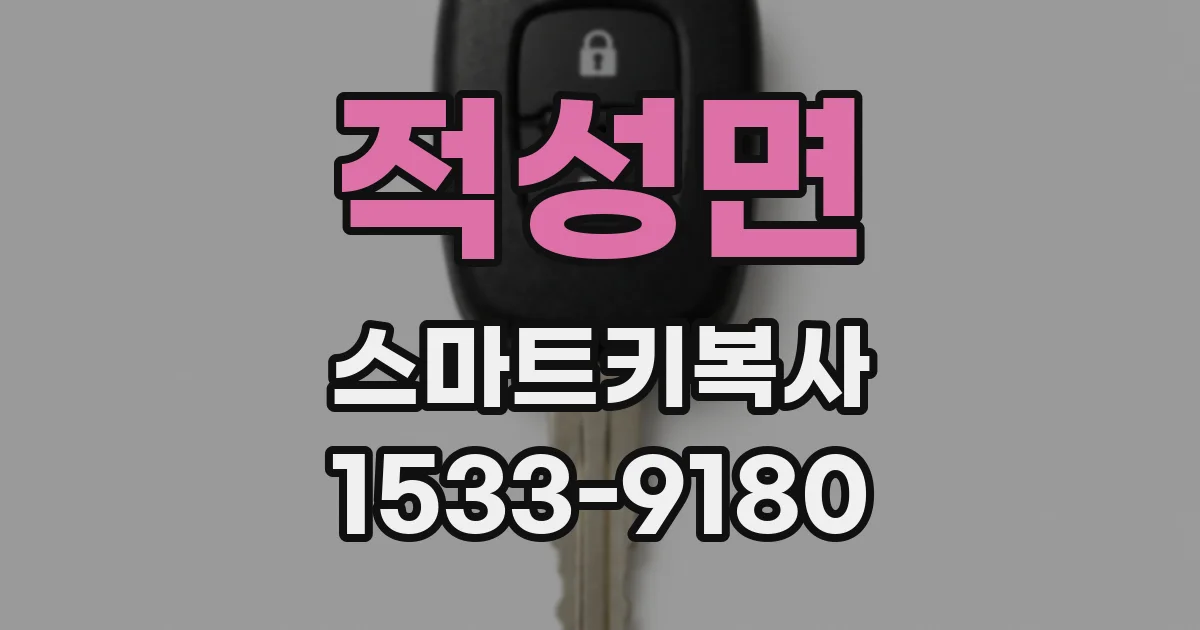 적성면 스마트키복사