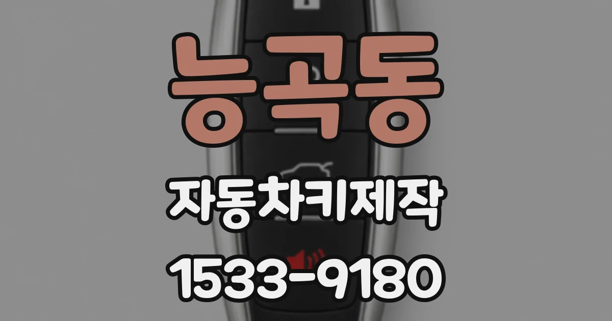 능곡동 자동차키제작