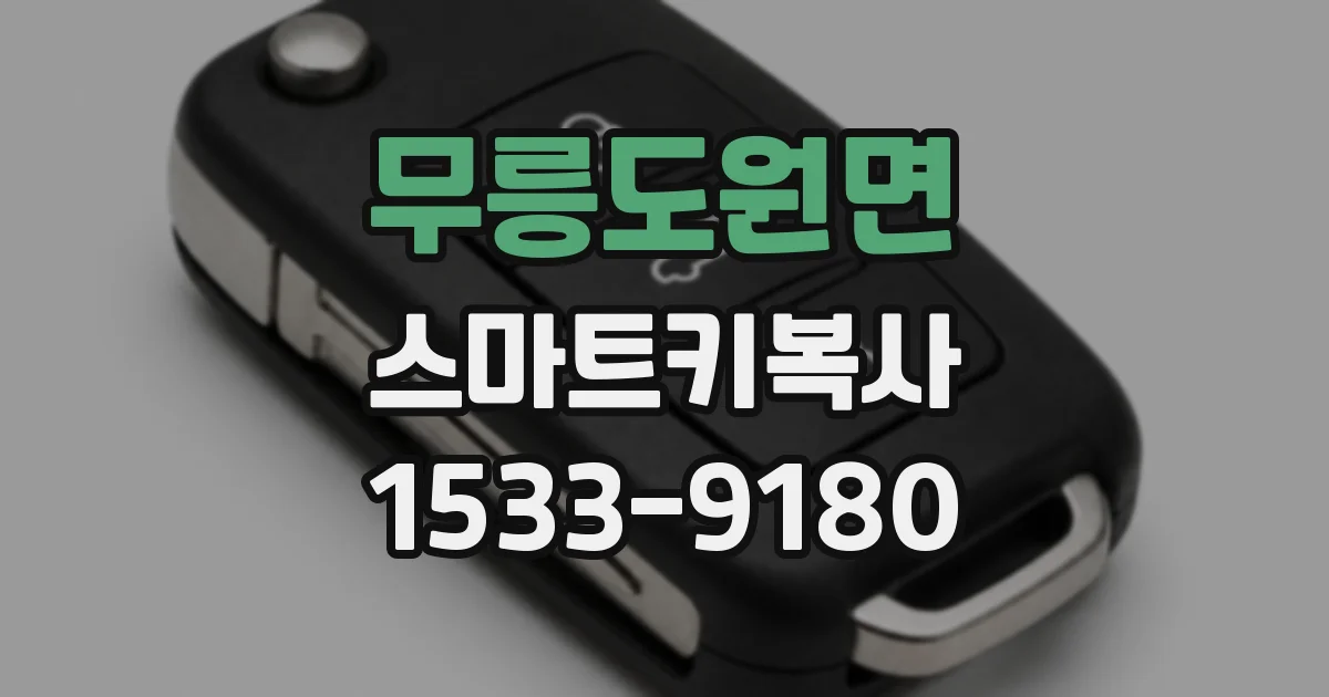 무릉도원면 스마트키복사