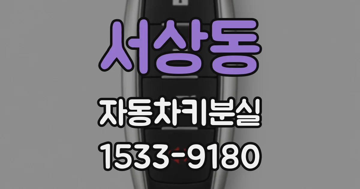 서상동 자동차키분실