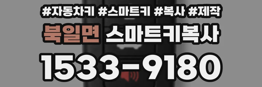북일면 스마트키복사