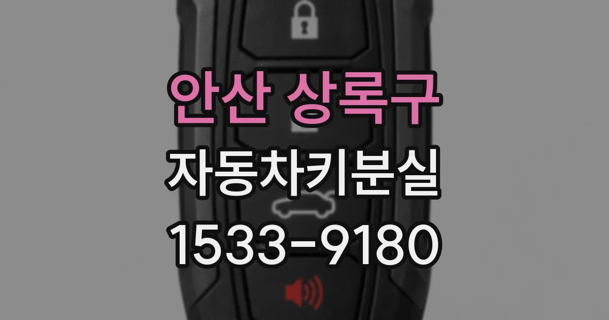 안산 상록구 자동차키분실