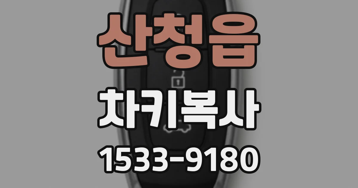 산청읍 차키복사