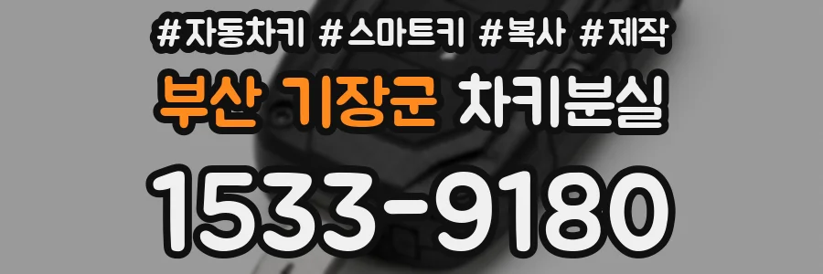 부산 기장군 차키분실