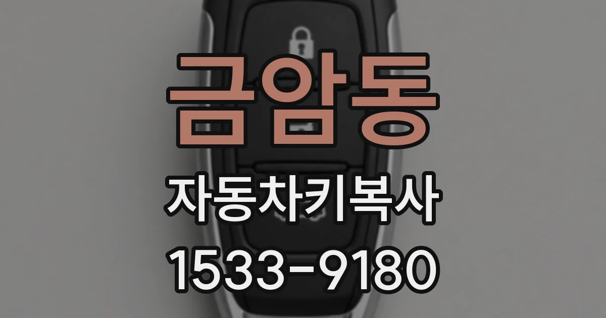 금암동 자동차키복사