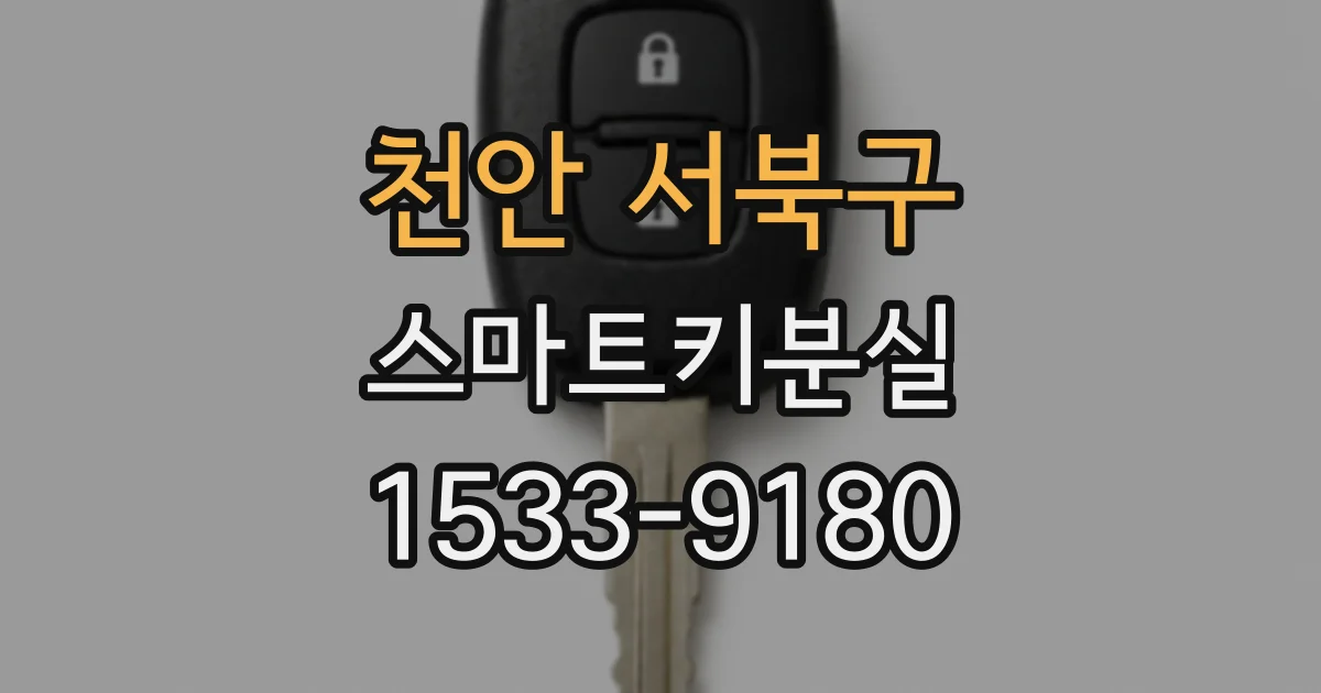 천안 서북구 스마트키분실