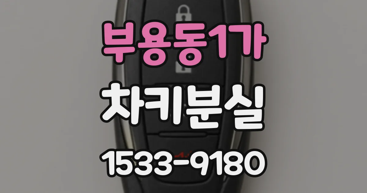 부용동1가 차키분실