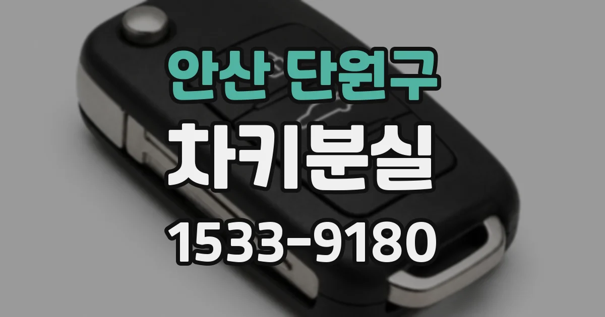 안산 단원구 차키분실