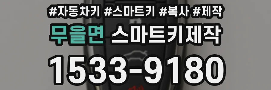 무을면 스마트키제작