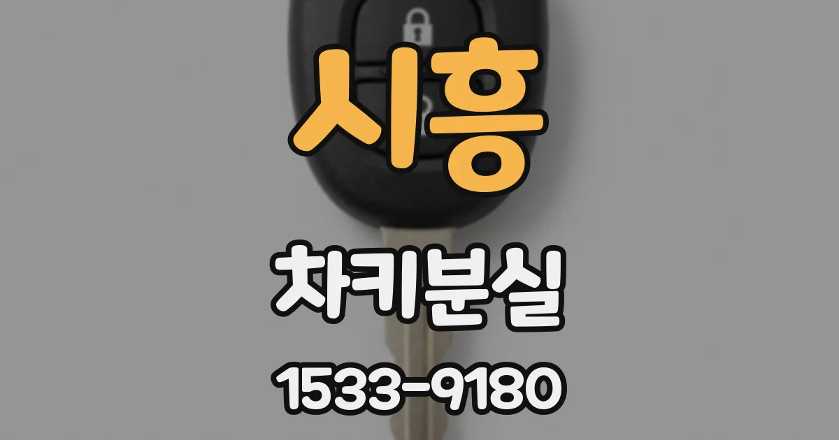 시흥 차키분실