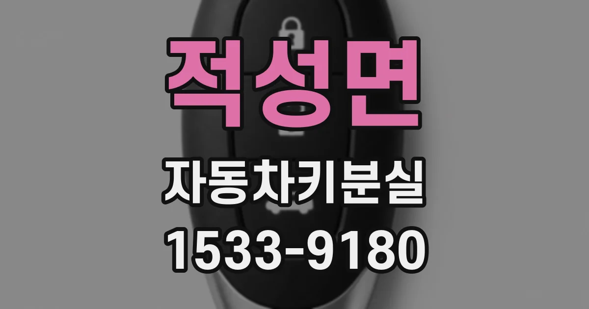 적성면 자동차키분실